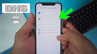How to use DNS in Mobile Data/Cellular connection- iPhone