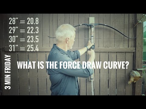 Top 3 Archery Science Fair Projects For All Ages