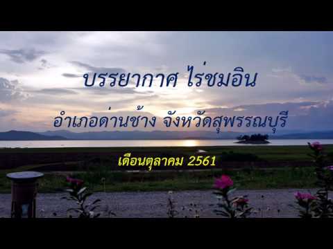 ไร่ชมอิน
