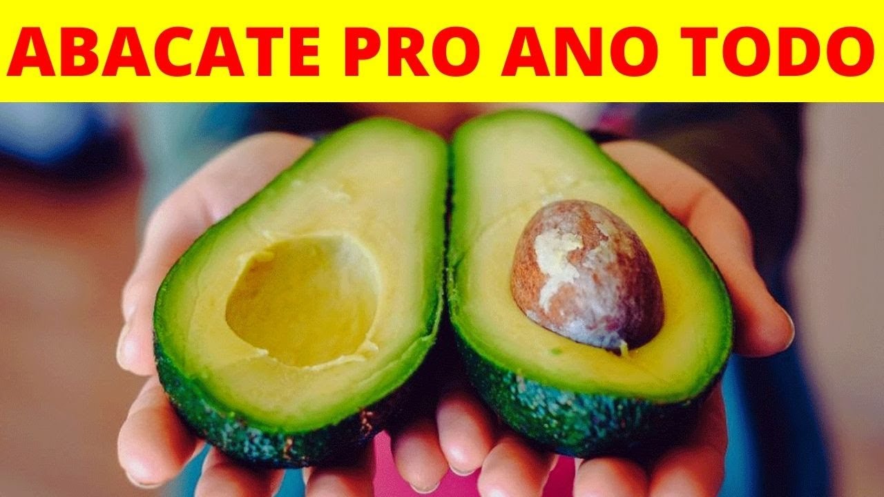 COMO CONGELAR ABACATE MADURO PARA NÃO FICAR PRETO E NÃO ESTRAGAR 🥑 [DURA MESES]
