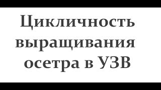 Ссылка