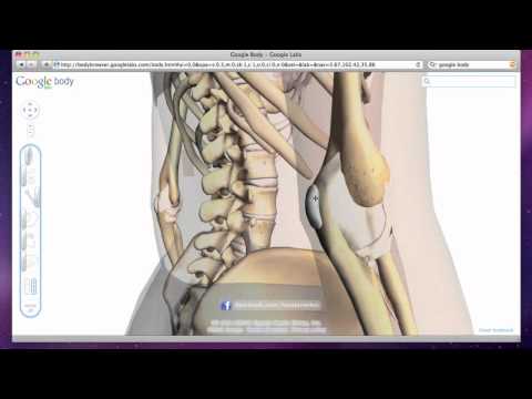 Elbow Bursitis - Olecranon Bursa Swelling and Inflammation