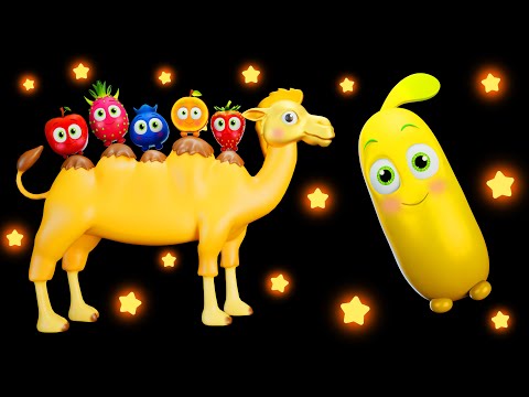 🐫 Alice The Camel with Funky Fruits | Baby Sensory Dance & Cute Veggie Animation! 🍉