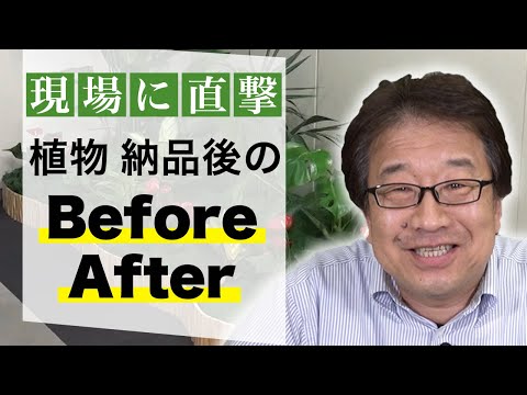 経済学科 三州株式会社様にインタビュー！｜国土緑化チャンネルVol.026