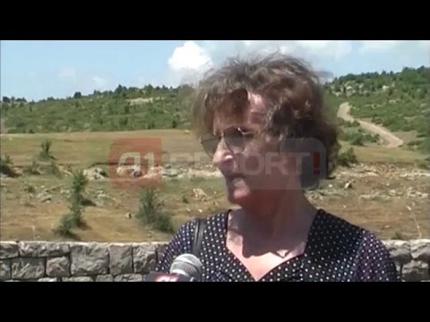 A1 Report - Historia e masakres së Borovës