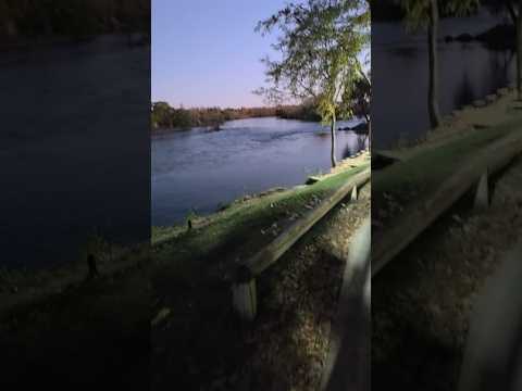 DÓNDE PARAR con MOTORHOME en NEUQUÉN: Conocé este paraíso en Plottier 🚐🌿