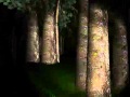 дима и мой любимый слендермен 
