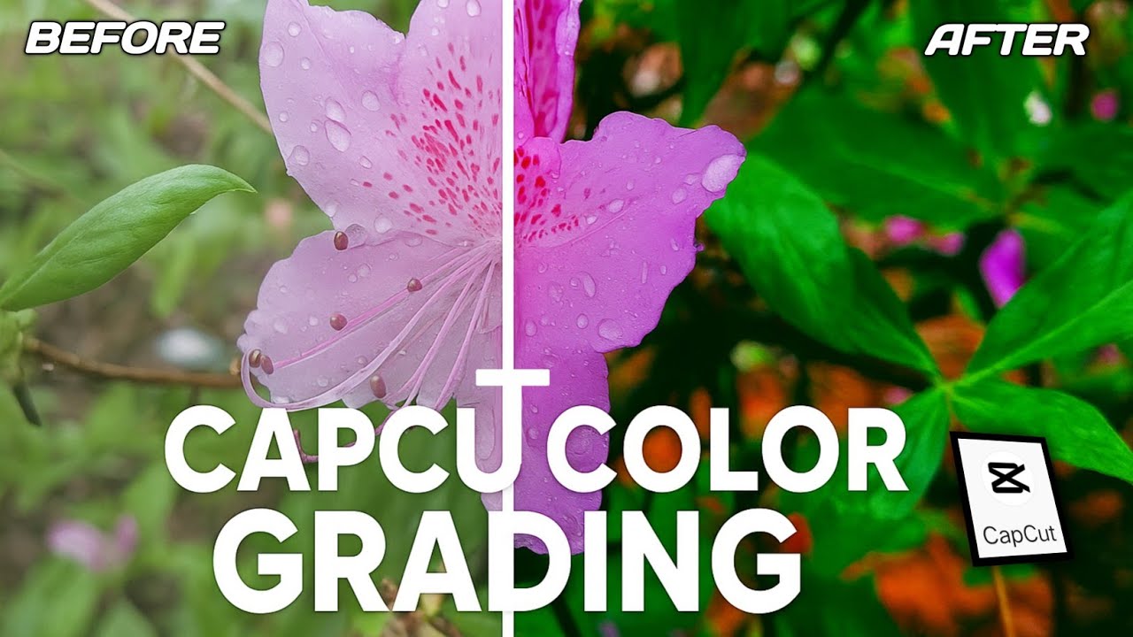 Cinematic Colour Grading in CapCut 🔥 CapCut Colour Grading Tutorial 2025