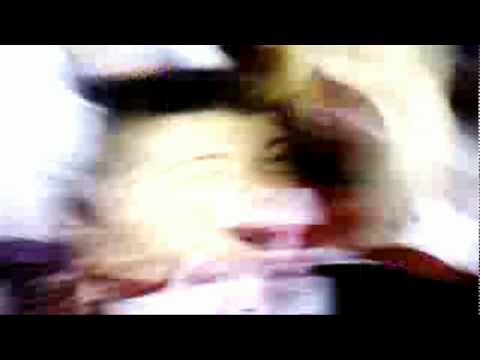 Linense 2x1 Flamengo - Na Torcida