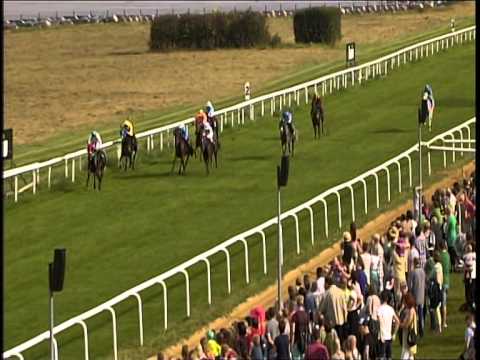 Galopprennbahn Dresden - 07.09.2014 - 5.Rennen