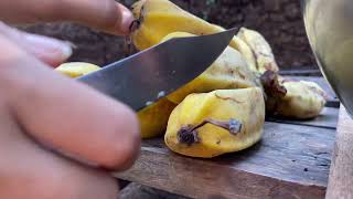 Let's cook some freshly picked bananas from the farm #friedbanana #provincelife #snackfoodies