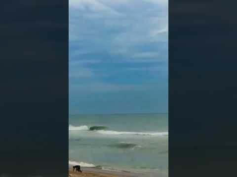 Vizag beaches#vizag#vizagbeaches#viralshorts#youtubeshorts