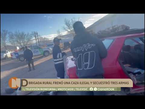 Tres choiques y un guanaco en un baúl: brigada rural frenó una caza ilegal y secuestró tres armas