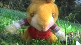 MOlOkO killa bunnies