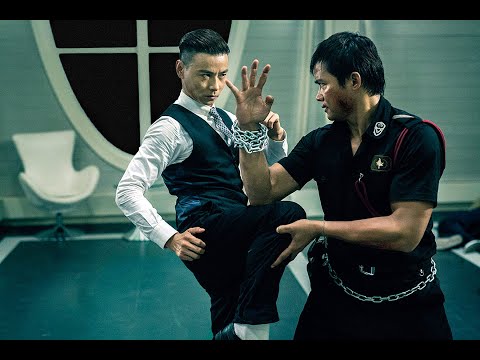 Kill Zone 2 2015 720p BRRip Hindi English Audio Vegamovies to