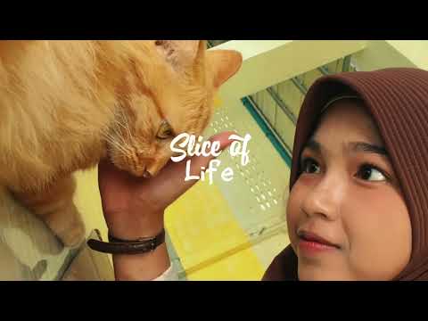 Vlog day life Panadda🌻🐈♥️