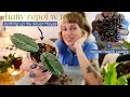 chatty repot with me 🪴 potting up 9 plants! philodendron, pothos, hoya, + more