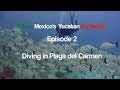 This is Mexico's Yucatan Peninsula - Episode 2 - Diving in Playa del Carmen - in 4K UHD