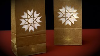 Carnation Luminaria - Martha Stewart