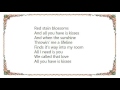 Elbow - Ribcage Lyrics