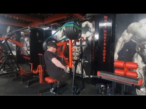 Spring Bulk Day 43- Back