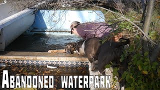 Saved a DROWNING DOG at Abandoned Water Park in San Diego