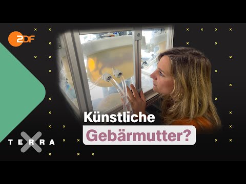 Von Frühchen lernen: So beeinflusst dich dein Start ins Leben | Terra Xplore mit Jasmina Neudecker