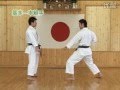 Kihon Ippon Kumite JKA 2 Shotokan Karate KarateZine