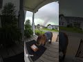 Capybara Vs Tornado Ai Shorts Ai Funny Capybara