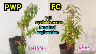 Field capacity Permanent wilting point | Available water | Practical explanation | Moisture tension