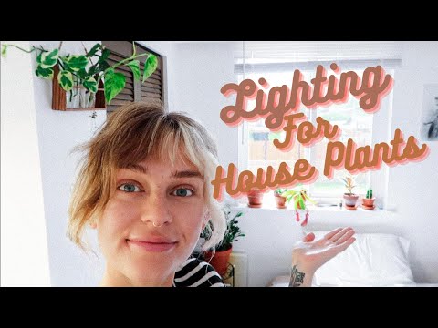 Window Lighting | What Plants I Grow In North, East, South, West Facing