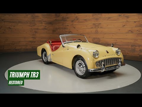 1959 Triumph TR3 (CC-1809069) for sale in Waalwijk, Noord-Brabant