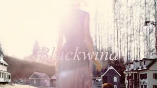 Patrick Watson - Blackwind