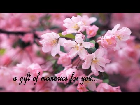 Old memories and wishes Dedicated to Rupali for future endevour.