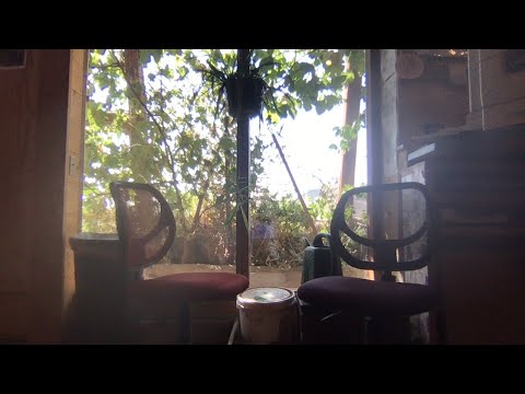 Michael Reynolds Interview