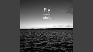 Fly Through the Night