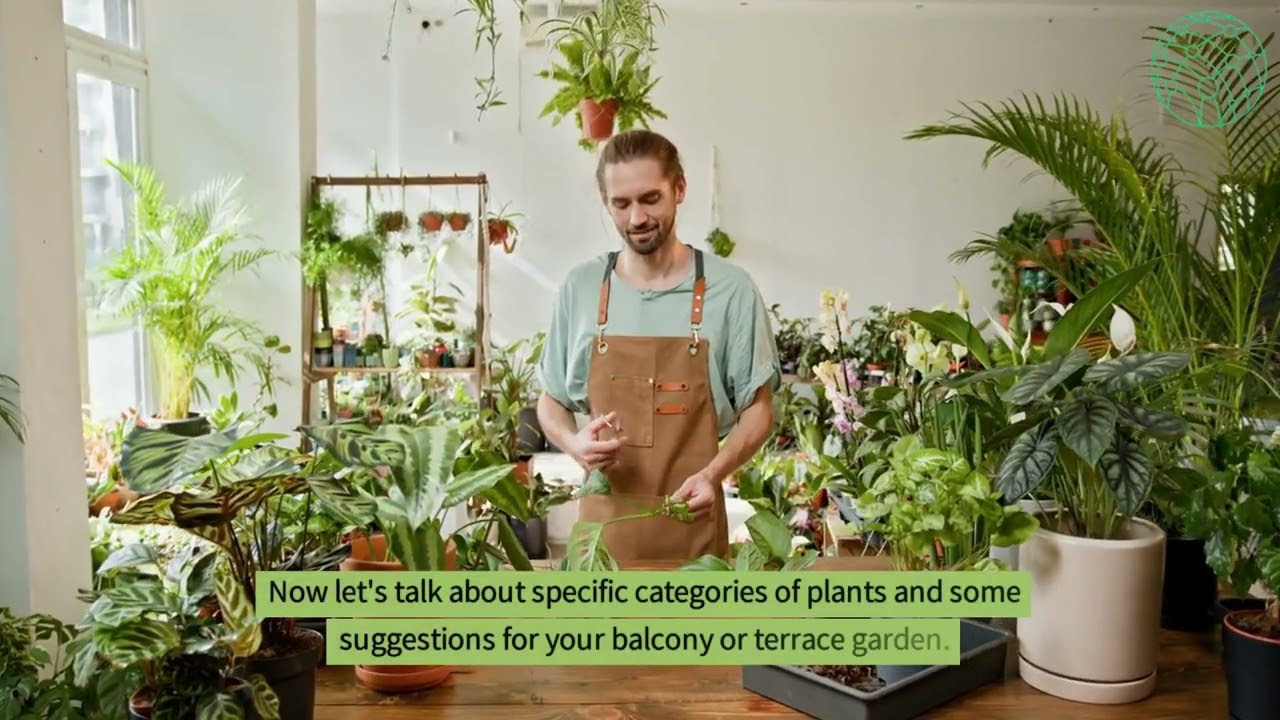 Choosing the Right Plants Matching Plants to Your Space
