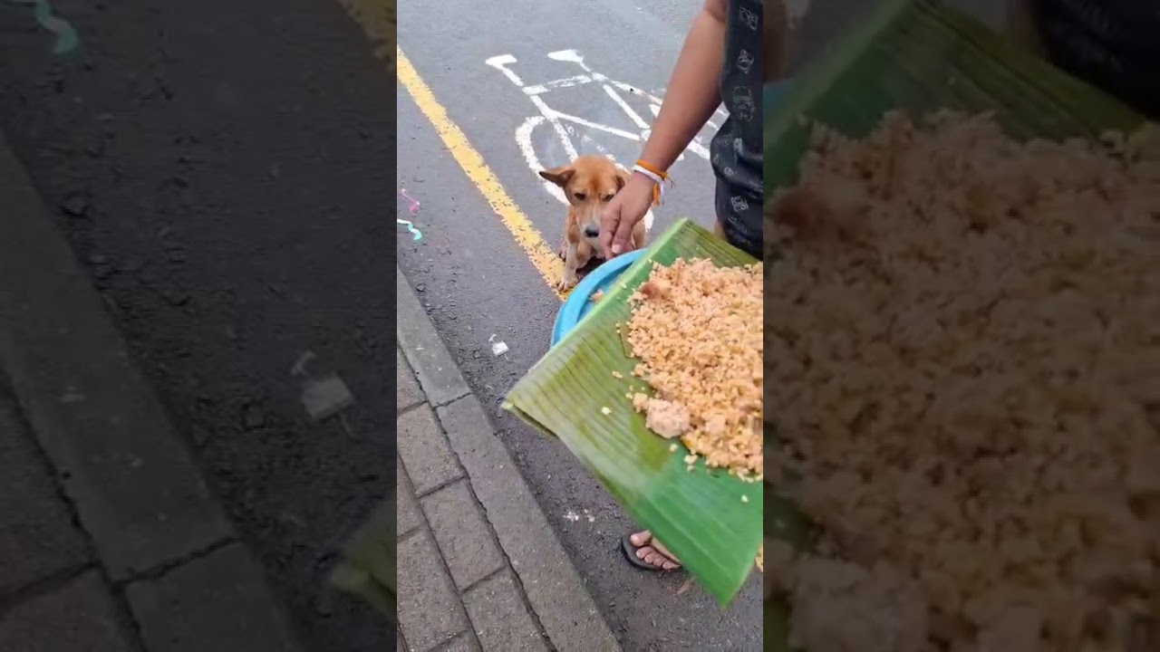 Cassay video