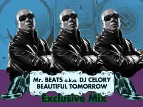 Mr.BEATS a.k.a. DJ CELORY 
