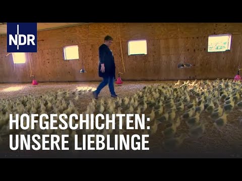 Hofgeschichten: Unsere Lieblinge | Die Nordreportage | NDR Doku