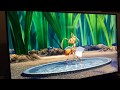 The Ant Bully Theatrical Trailer Film Movie Of DVD Australian
