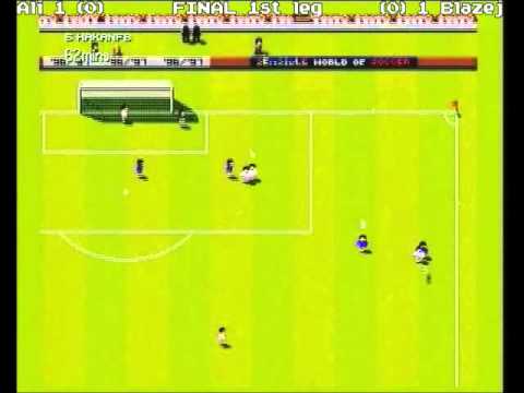 Sensible Days 2013 - Amiga Final - Blazej (POL) vs Ali (TUR)