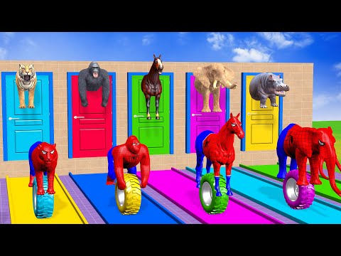 Long Slide Game With Cow Elephant Gorilla Hippopotamus Tiger - 3d Animal Game - Funny 3d Animals