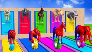 Long Slide Game With Cow Elephant Gorilla Hippopotamus Tiger - 3d Animal Game - Funny 3d Animals