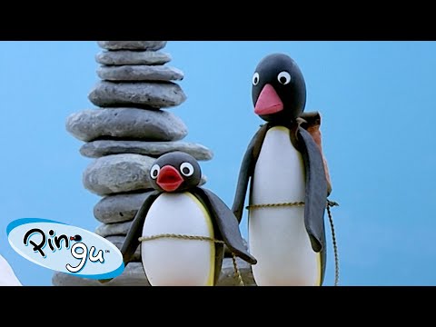 Pingu Goes On Trips 🐧 | Pingu – Official Channel | Cartoons For Kids - Kids (0-4), Kingdom Kids Zone - Pingu - Official Channel