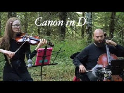 Promotional video thumbnail 1 for Lepard String Duo