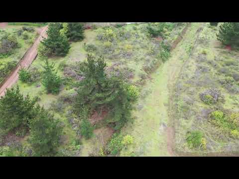 Rifa Parcela K en Vichuquén, Región de Maule - 5.000 m2