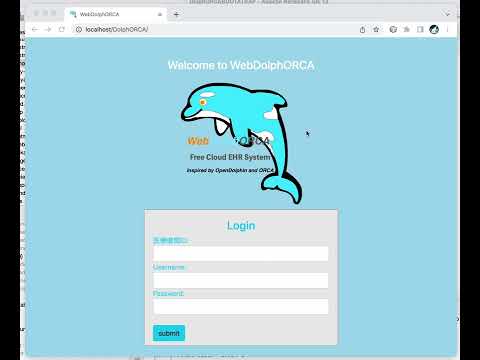 保健学科 OpenDolphin ウェブタイプ　UI を決めていく