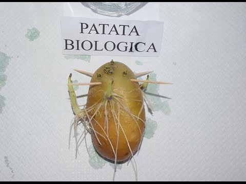 Molto male dal lato posteriore Ho molto spesso mal di schiena
