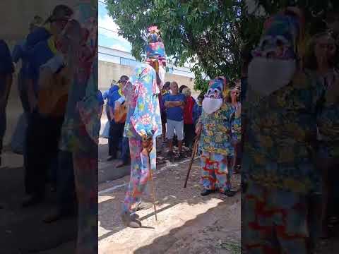 Cia de Reis água da pintada Cruzalia sp 